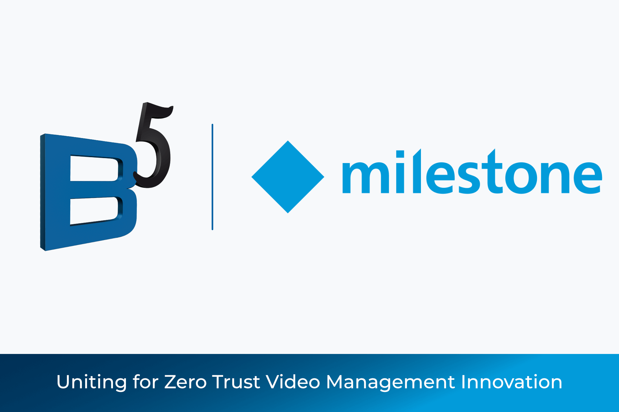 Blu5group and Milestone partnership